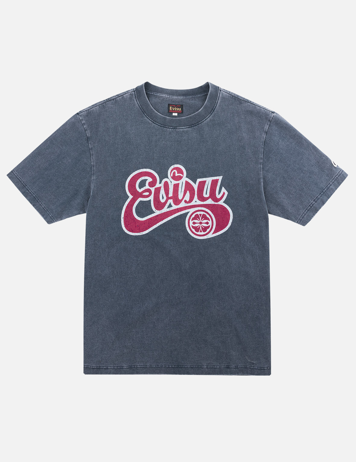 Washed EVISU Logo Seagull T-Shirt