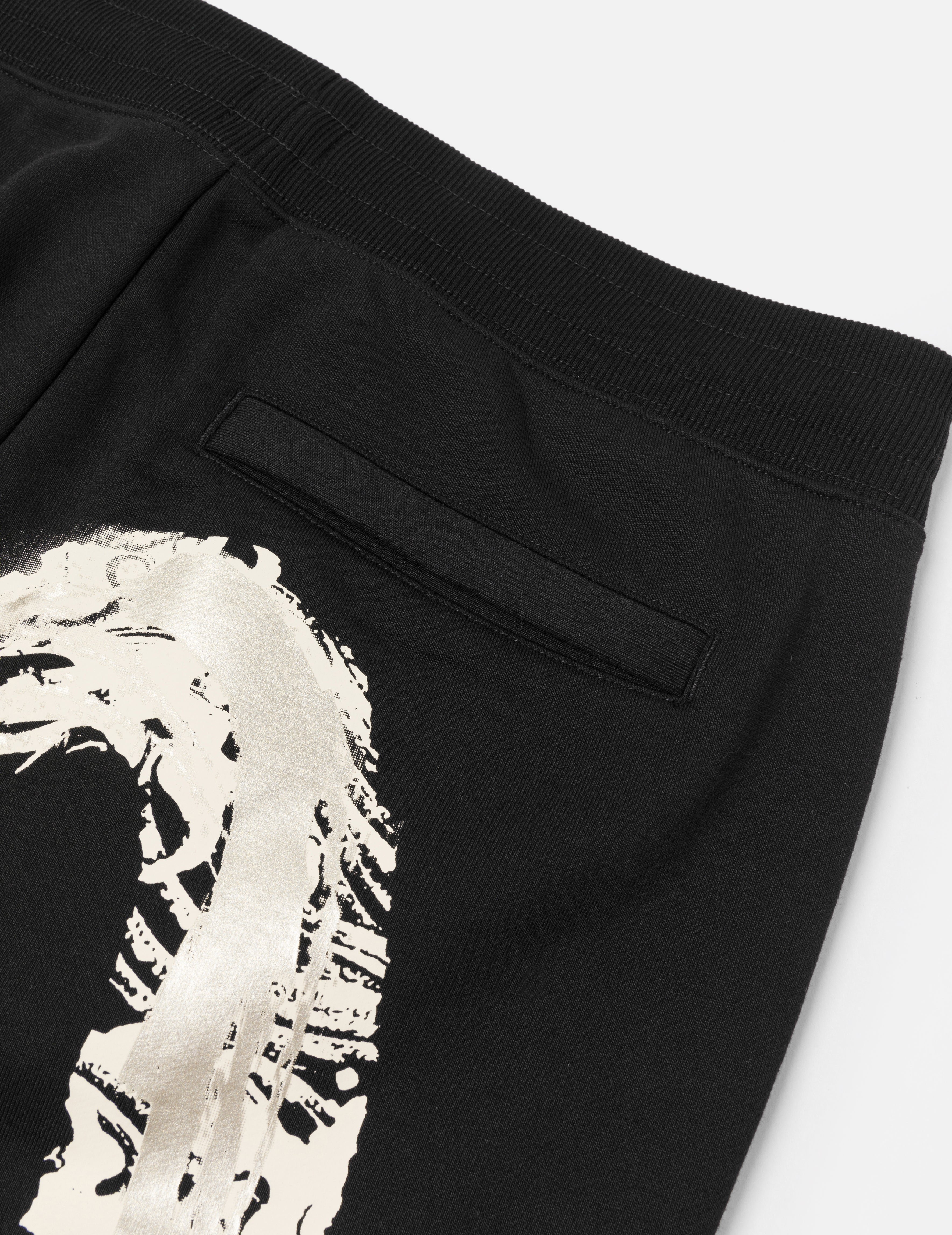 Artistic Brush Daicock Print Regular Fit Sweatshorts