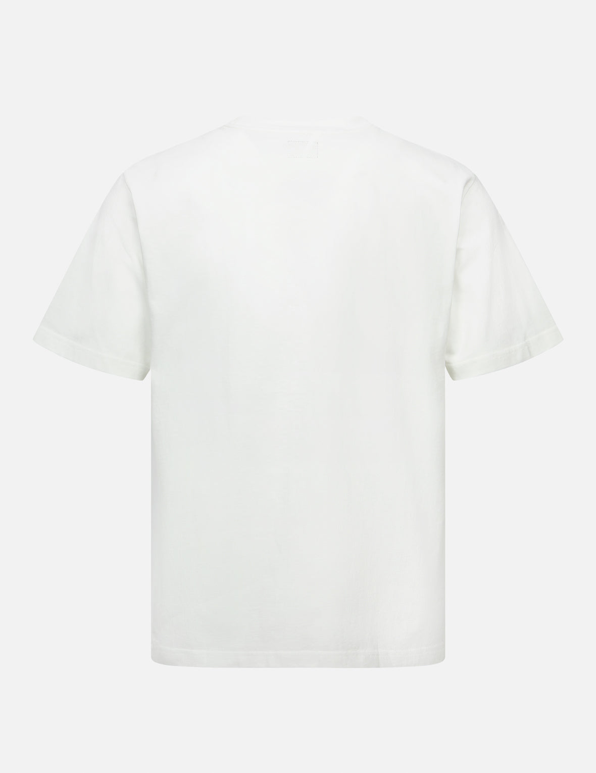 Tanuki and Daruma Print Regular Fit T-Shirt
