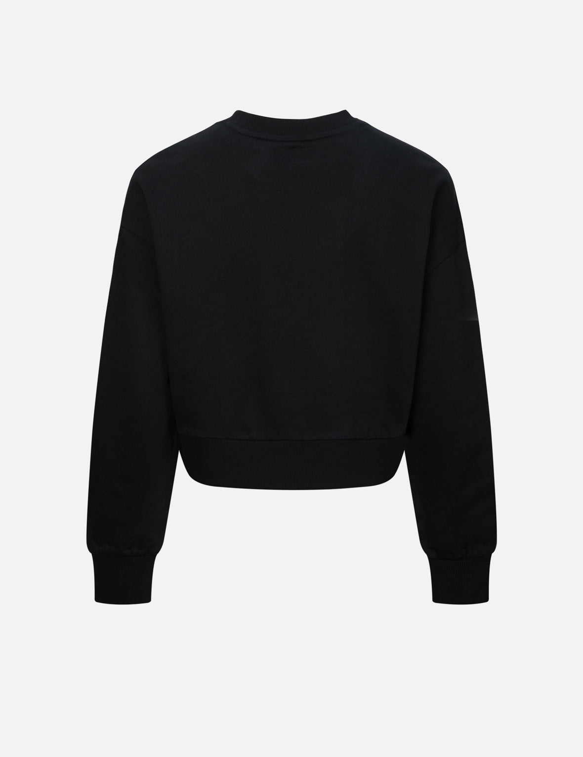 Rhinestone Seagull Cropped Sweatshirt