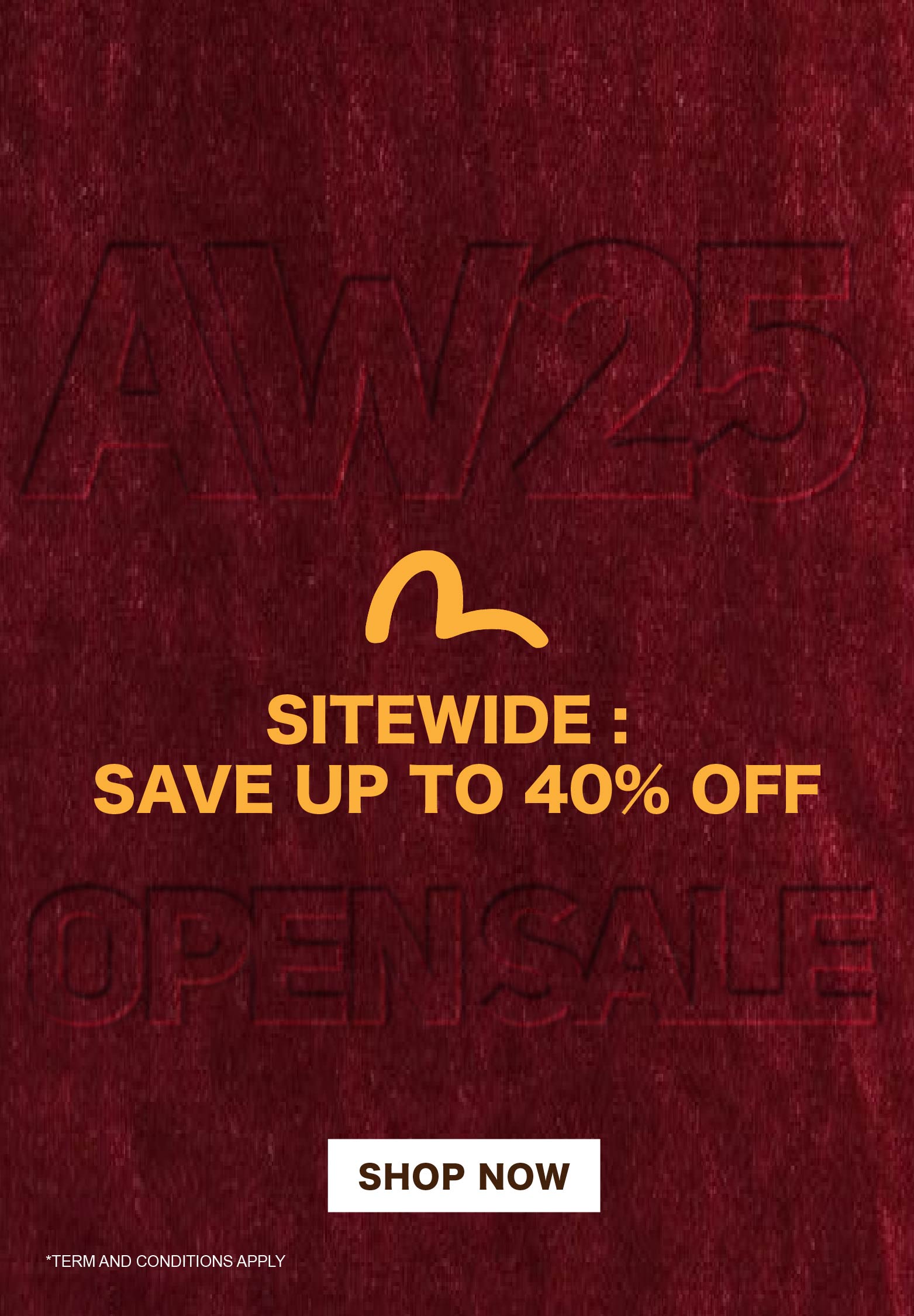 Mobile slideshow image