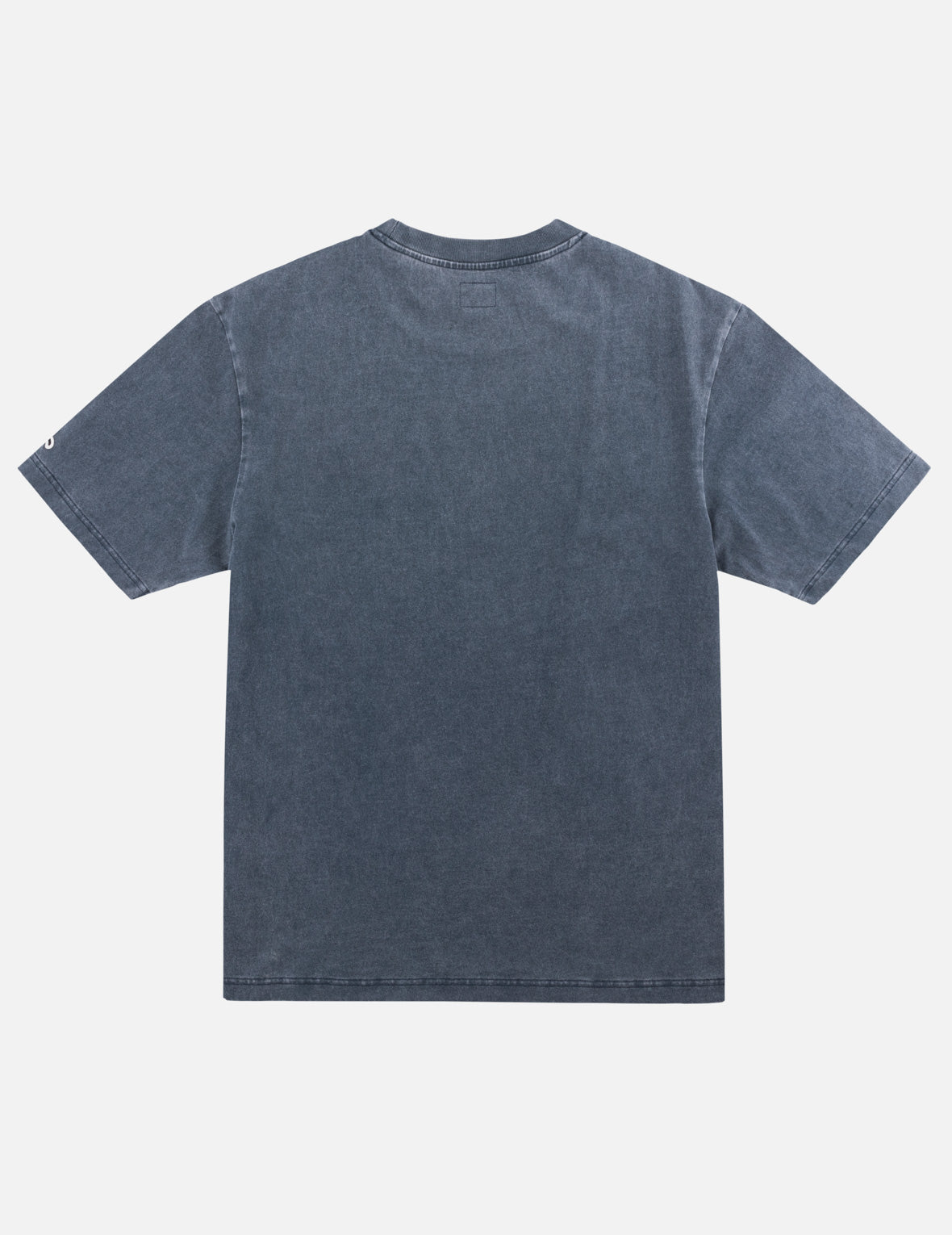 Washed EVISU Logo Seagull T-Shirt