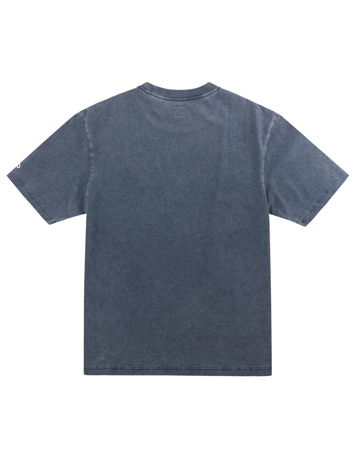 Washed EVISU Logo Seagull T-Shirt
