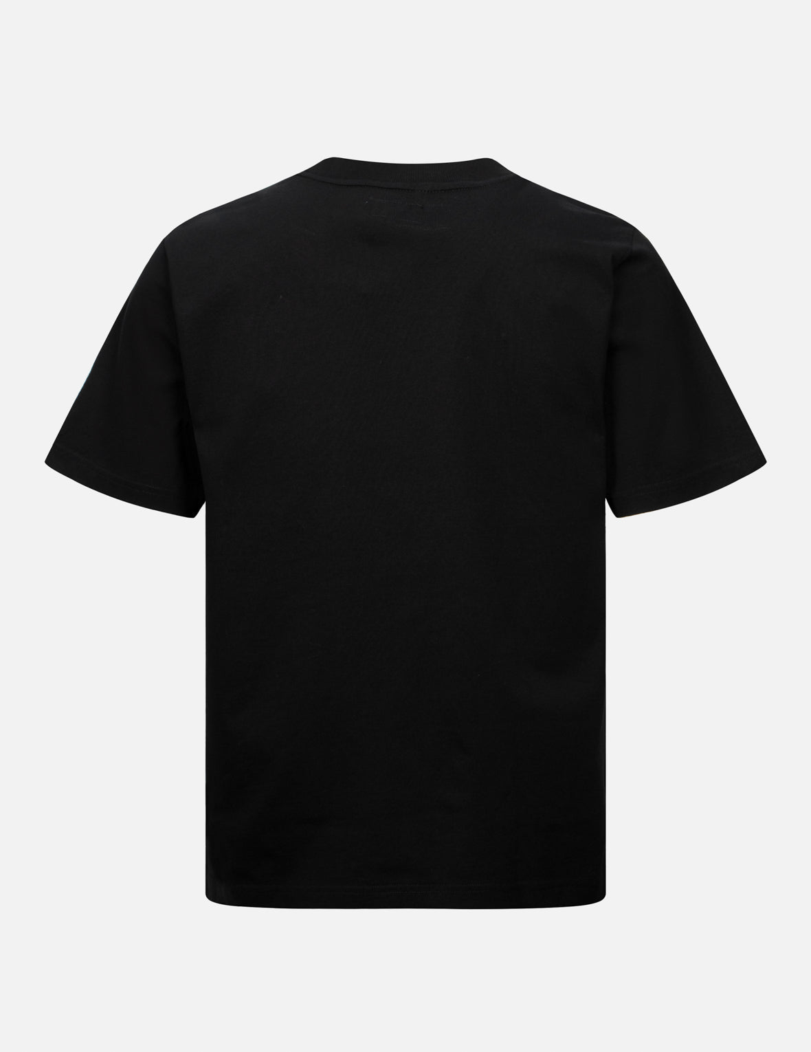 Tanuki and Daruma Print Regular Fit T-Shirt